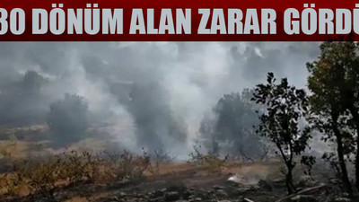 Elazığ'da orman yangını