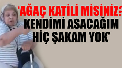 Ertuğrul Gazi türbesinde ağaç direnişi