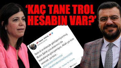 HDP Grup Başkanvekili Beştaş'tan AKP'li Akkal'a: Bir yaratık