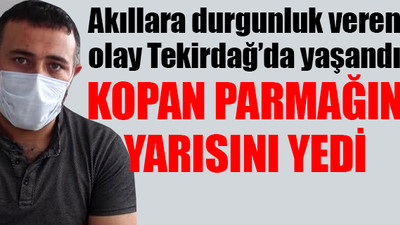 İşçinin yemeğinden kopmuş parmak çıktı
