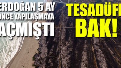 Kızılırmak Deltası Kuş Cenneti'ndeki yangında dikkat çeken ayrıntı