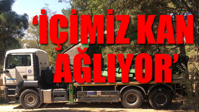 Kuran kursu ve mescit için ağaçlar sökülüyor... İş makineleri yola çıktı