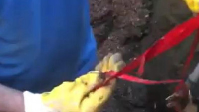 Temizlik yaparken 7 çeyrek altını klozete düşürdü, kanalizasyon kazısı yapıldı