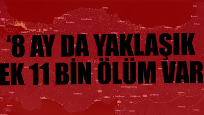 Türkiye'deki 11 kentte çarpıcı koronavirüs araştırması