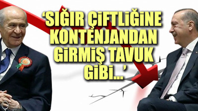 Ünlü ekonomistten flaş 'kriz' yorumu: Erdoğan, Bahçeli'nin isteğini yerine getirirse...