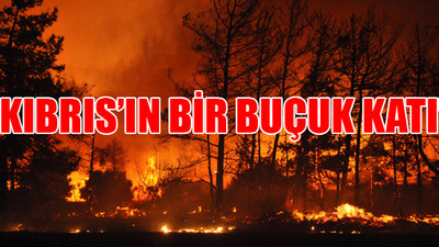 Orman yangınlarında bilanço ağır: 1 milyon 667 bin 676 hektar kül oldu
