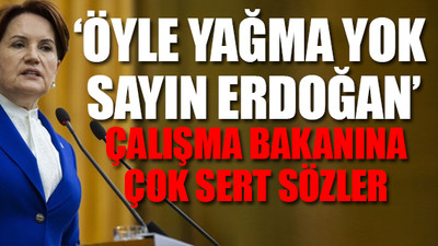 "Artık Damadının pembe tablolarına Erdoğan da inanmıyor"