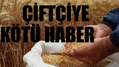 Buğday, arpa, mısır ithalatında gümrük vergisi sıfırlandı