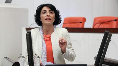 CHP'li Kayışoğlu: Nilüfer Çayı'nın kirli akmasının sebebi sanayi atıkları 