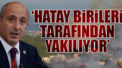 CHP'li Öztunç'dan Hatay'da çıkan yangına ilişkin açıklama