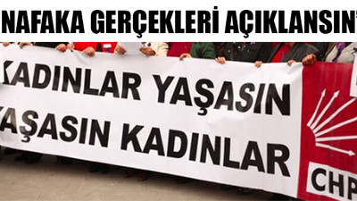 CHP’li 17 kadın milletvekilinden nafaka önergesi