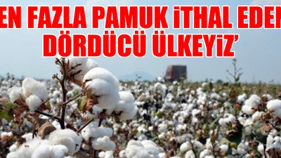 CHP’li vekillerden pamuk üreticileri için soru önergesi