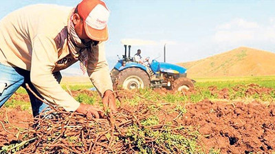 Çiftçiye kötü haber: Gübre ve mazot desteğinde kesinti yapılacak