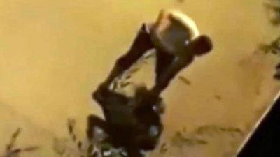 Elindeki boruyla köpeği döven kişi gözaltına alındı