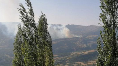 Evde çıkan yangın ormana sıçradı