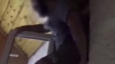 FETÖ üyeleri gizli bölmede yakalandı