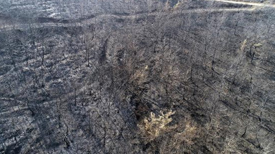 İşte Hatay'da yanan ormanlık alanın son görüntüsü