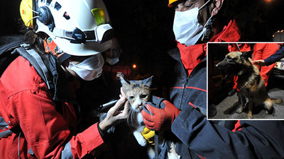 İzmir'de enkaz altında kalan bir kediyi, K-9 köpeği kurtardı