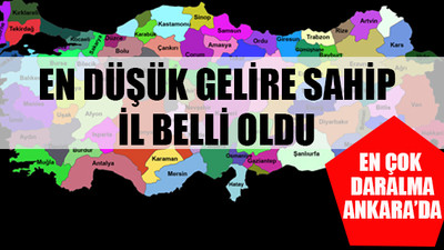 Sadece 1 ilde gelir artışı var