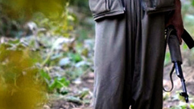 Şırnak'ta 2 terörist etkisiz hale getirildi