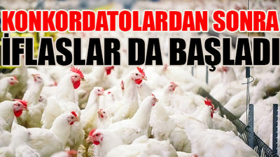 Tavukçuluk devi iflas etti