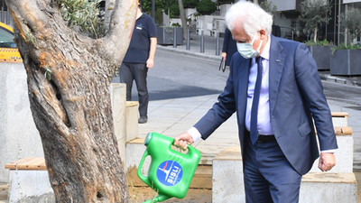 Asırlık 3 zeytin ağacı Şişli'de