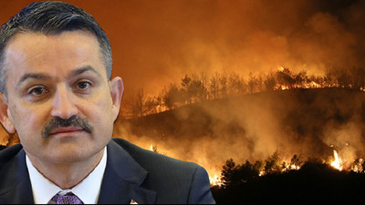 Bakan Pakdemirli: Yangınla mücadelede lider ülkeyiz