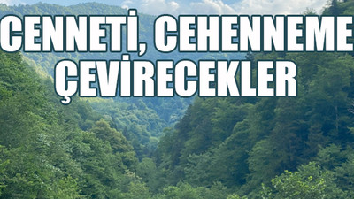 Bakanlar Kurulu'nun 'koruyalım' dediği bölgeye, taş ocağı ruhsatı