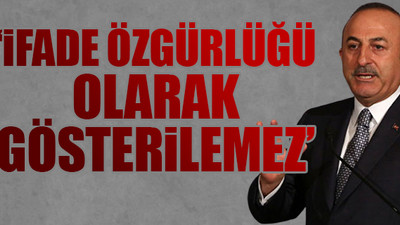 Çavuşoğlu'ndan 'dini değerler' çıkışı