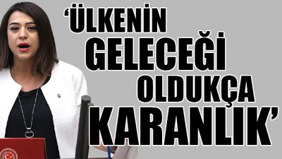CHP'li Taşcıer: Bakanlık 720 bin çocuk işçiden sadece 9 binine ulaştı
