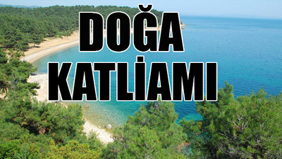 Dünyanın sayılı 5 denizinden biri olan Saros Körfezi'ne liman yapılmak isteniyor