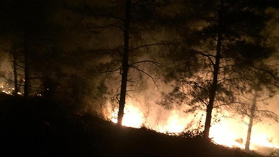 Hatay'da orman yangını