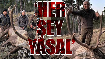 Kızıl geyik avlayan eski MHP'li başkandan açıklama
