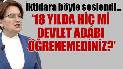 Meral Akşener: Erdoğan'ın sosyal medya yasaklarında neden ısrar ettiğini anladık