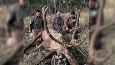 MHP'li eski başkan nesli tükenmekte olan geyiği vurdu