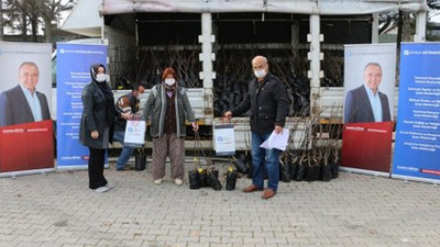 Antalya Büyükşehir'den çiftçiye destek: 6500 ceviz fidanı dağıtıldı