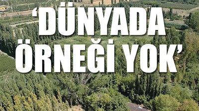 Atatürk Orman Çiftliği’ne bir hançer daha...