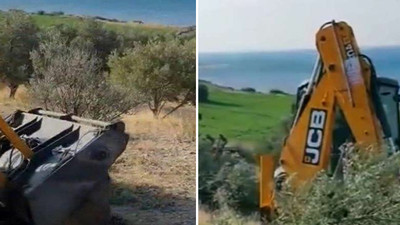 Bakanlık onay verdi, zeytin ağaçları sökülüyor