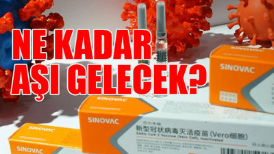 Çin aşısı Sinovac'ın ne zaman geleceği belli oldu