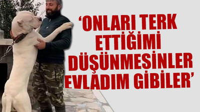 El konulan 3 köpeği için her gün 160 kilometre yol gidiyor