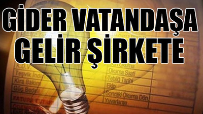 Elektrik faturaları kabaracak: Keyfi harcamalar 5 yıl daha eklenecek