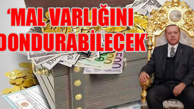 Erdoğan'a yeni yetki...