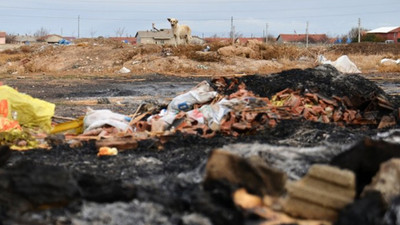 Konya'da 9 yavru köpeği yakarak öldürdüler