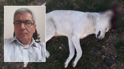 Köpeği başından vurarak öldüren avukat serbest bırakıldı