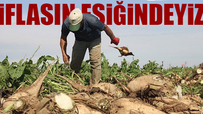 Şeker pancarı üreticileri isyan etti