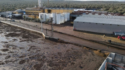 Tonlarca atık dereye ve plaja aktı