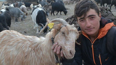 7 yaşından beri çobanlık yapıyor: Hedefi veteriner olmak