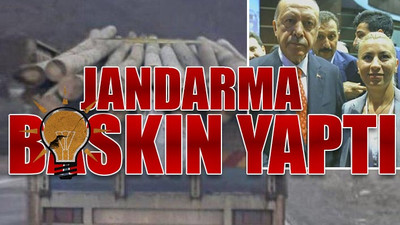 AKP'li başkan 20 ton meşe odunu ve elektrik direklerini çalarken yakalandı