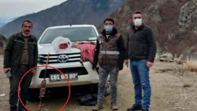 Avladıkları yaban keçisini döner yapıp yerken yakalandılar