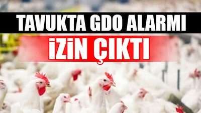 Bakanlık GDO’lu yeme onay verdi